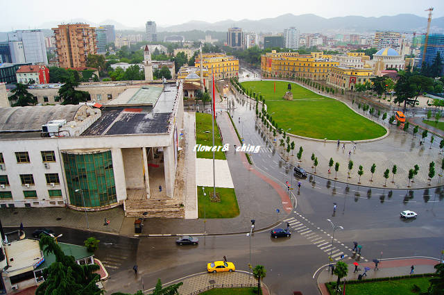 DSC08879.JPG DSC08879.JPG