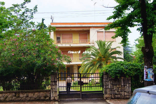 DSC08961.JPG DSC08961.JPG