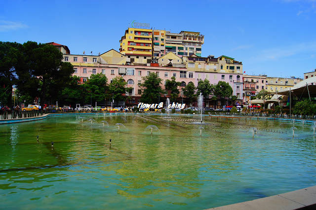 DSC08972.JPG DSC08972.JPG