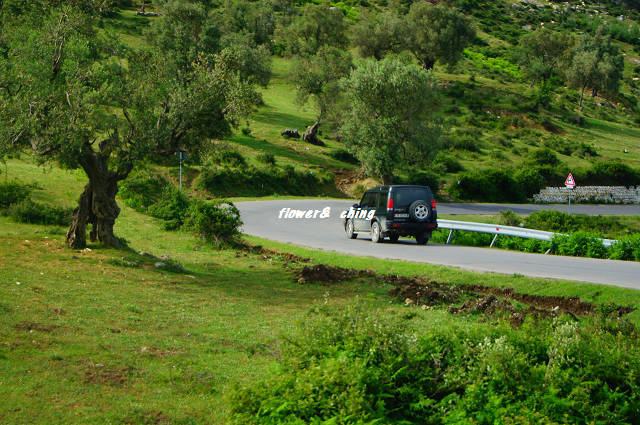 DSC09139.JPG DSC09139.JPG