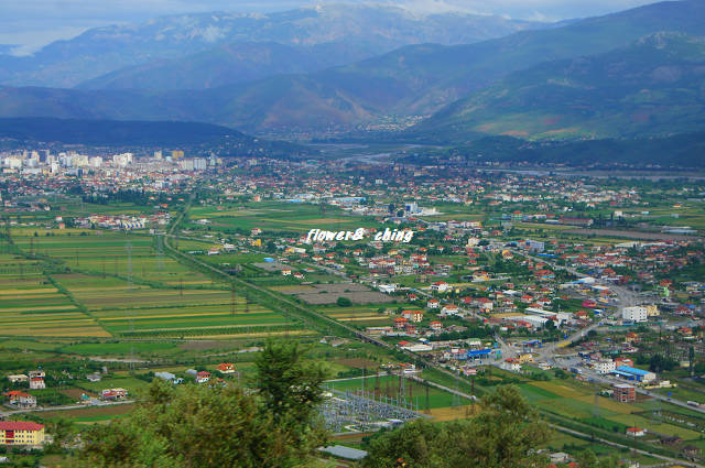 DSC09144.JPG DSC09144.JPG