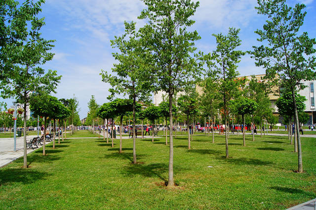 DSC09020.JPG DSC09020.JPG