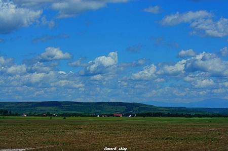 DSC01858.jpg DSC01858.jpg