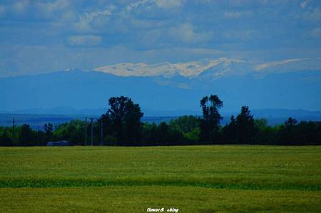 DSC01874.jpg DSC01874.jpg