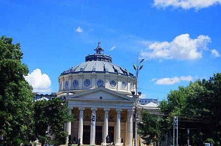 DSC01910.jpg DSC01910.jpg