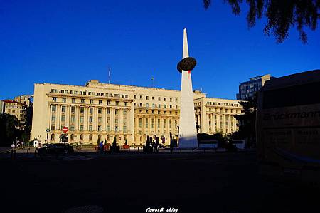 DSC01981.jpg DSC01981.jpg