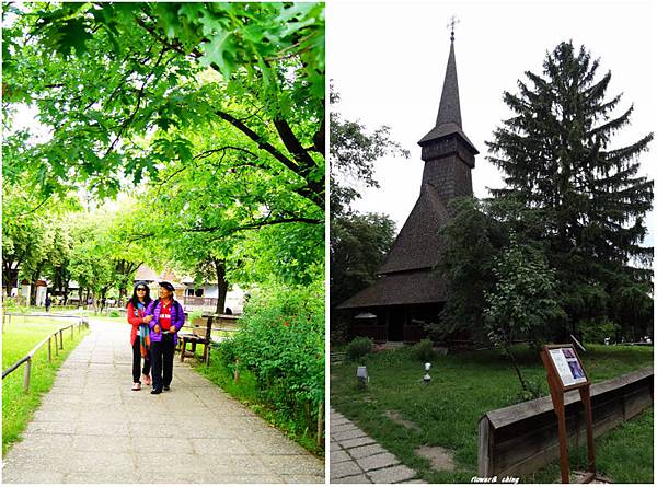 DSC02061-1 DSC02061-1