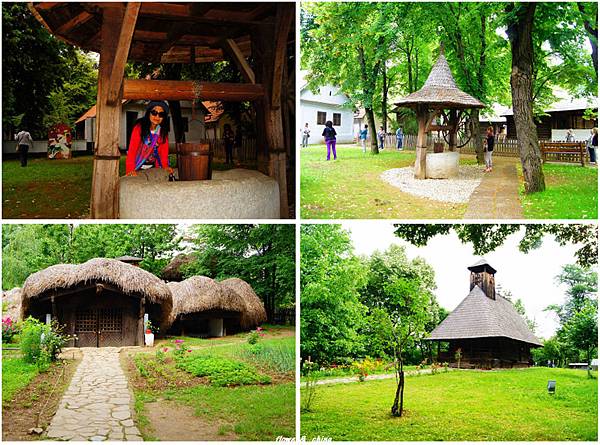 DSC02053-1 DSC02053-1