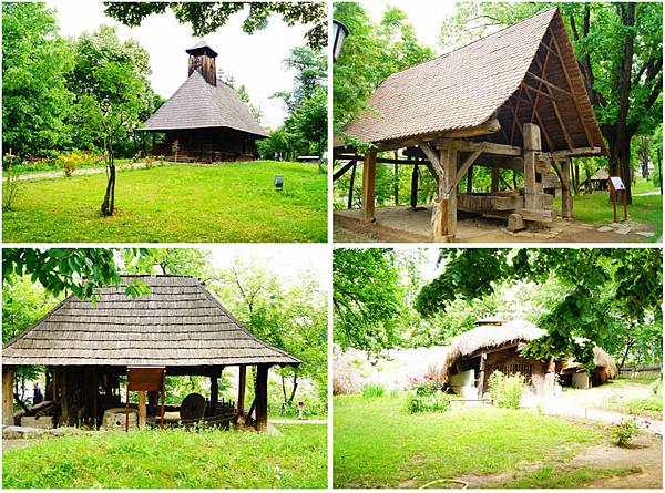 DSC02081-1 DSC02081-1