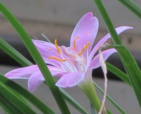 10665842_1495148544073461_8844727478422504329_n 10665842_1495148544073461_8844727478422504329_n