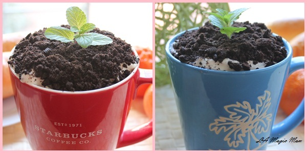 盆栽咖啡4-4 盆栽咖啡4-4