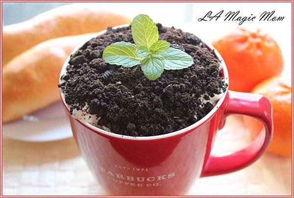 盆栽咖啡8-8 盆栽咖啡8-8