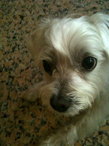 IMG_0012.jpg IMG_0012.jpg