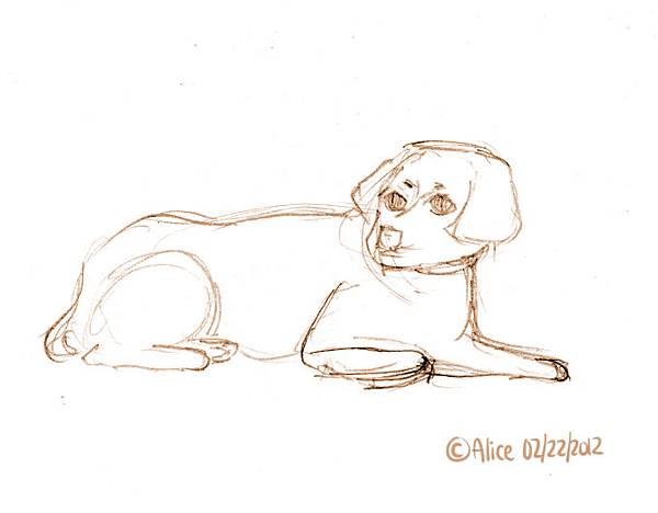 sketch of dog