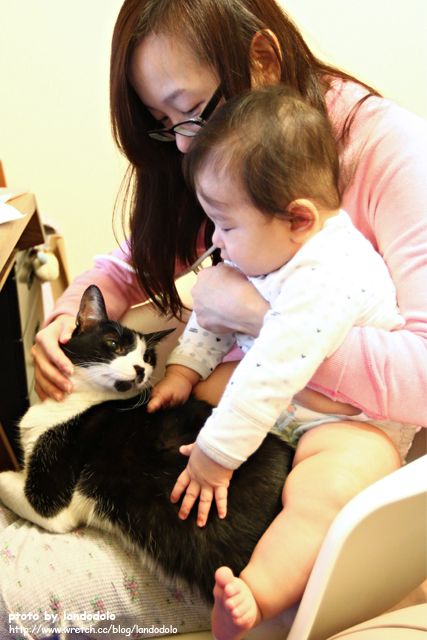 黑白貓跟寶寶