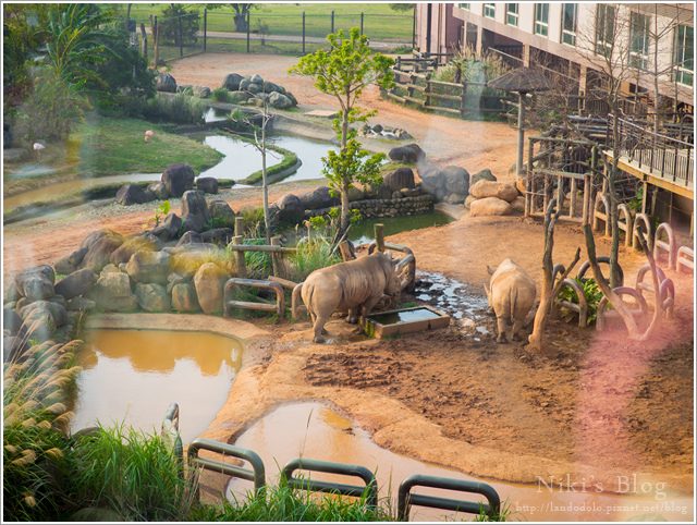 8Y7C0672.jpg 8Y7C0672.jpg