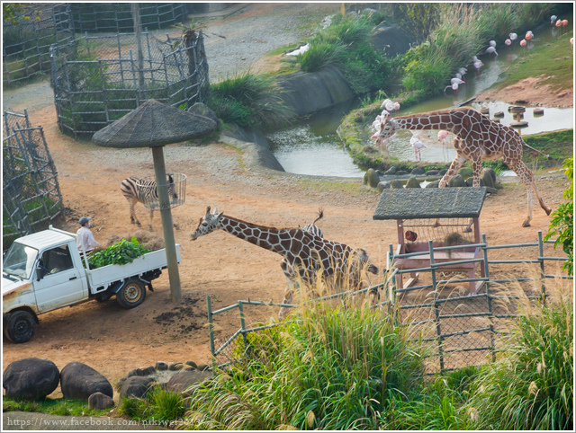 8Y7C0704.jpg 8Y7C0704.jpg