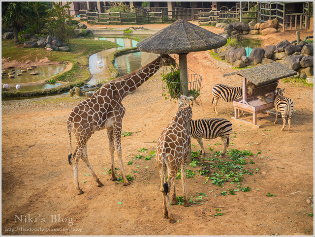 8Y7C0750.jpg 8Y7C0750.jpg