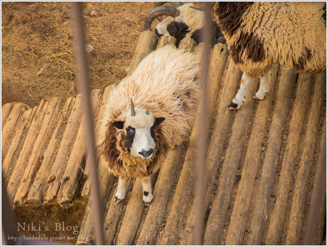 8Y7C0796.jpg 8Y7C0796.jpg