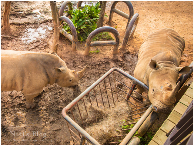 8Y7C0800.jpg 8Y7C0800.jpg