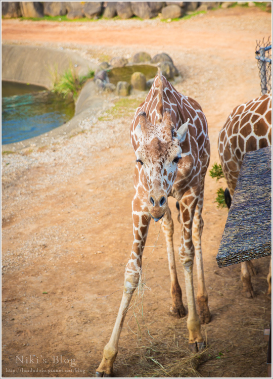 8Y7C0825.jpg 8Y7C0825.jpg