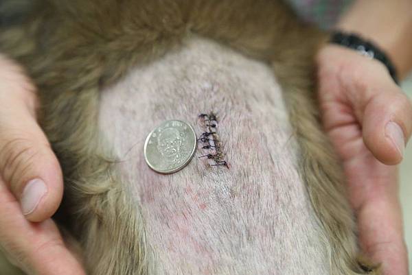 10562675_792968454086627_104863020482050632_o