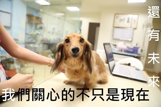 10417496_815467718503367_7444245113915369005_n 10417496_815467718503367_7444245113915369005_n