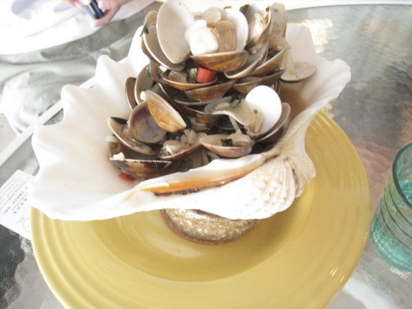 白酒蛤礪義大利麵 白酒蛤礪義大利麵