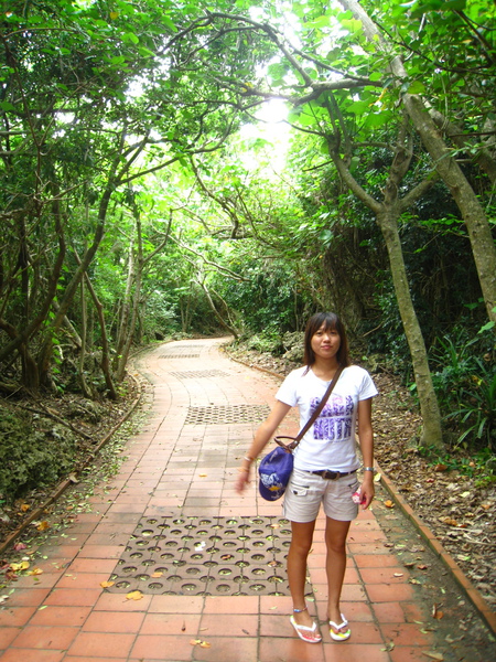台灣最南端森林步道 台灣最南端森林步道