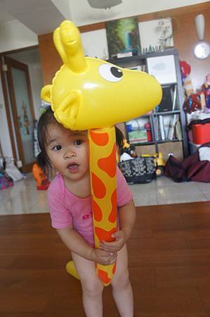 DSC05190.jpg DSC05190.jpg