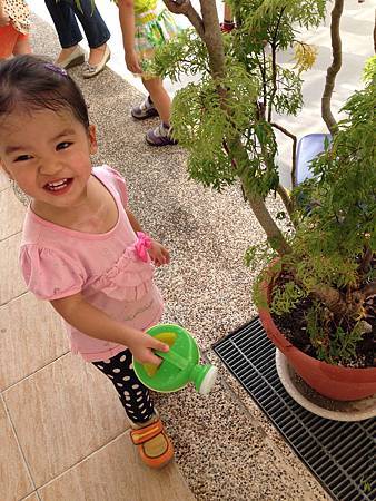 IMG_8392.jpg IMG_8392.jpg