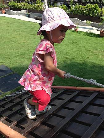 IMG_8433.jpg IMG_8433.jpg