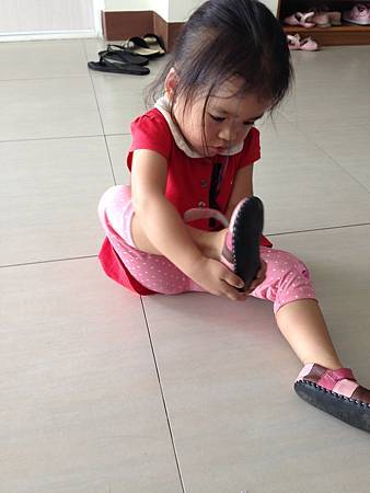 IMG_8515.jpg IMG_8515.jpg