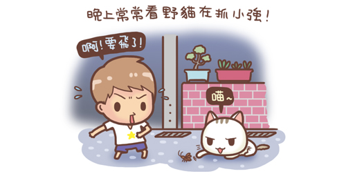 野貓記事-聚寶盆1-.jpg 野貓記事-聚寶盆1-.jpg