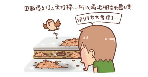 鳥屎3 鳥屎3