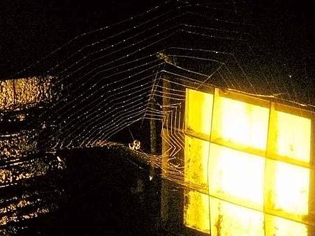 明池夜spider_compressed 明池夜spider_compressed
