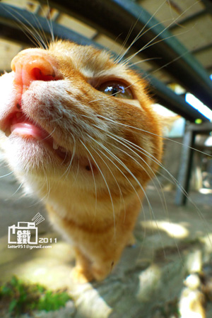 000211cmdmhvc89hd92csz