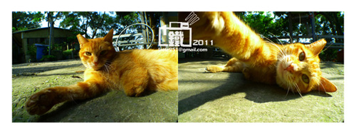 000306whqo2es7s7lb2jli