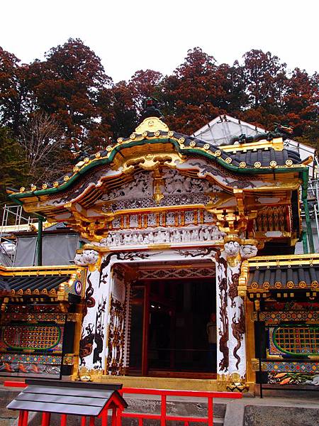 P3047529.JPG P3047529.JPG