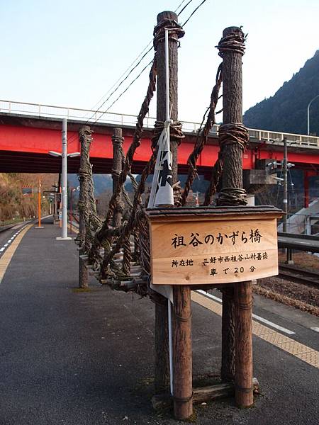 P3097867.JPG P3097867.JPG