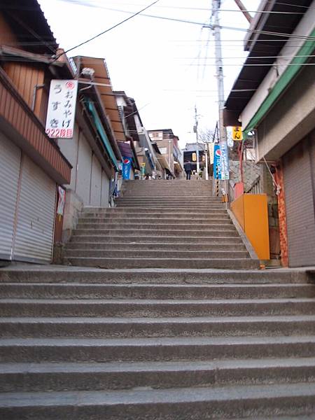 P3107940.JPG P3107940.JPG