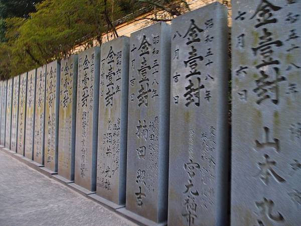 P3107988.JPG P3107988.JPG