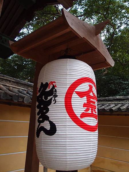 P3108010.JPG P3108010.JPG