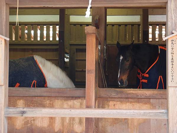 P3108085.JPG P3108085.JPG