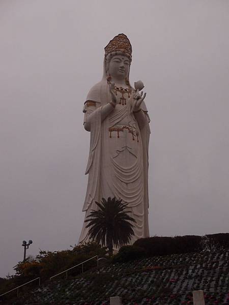 P3108170.JPG P3108170.JPG