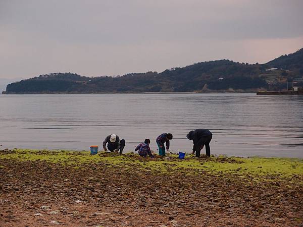 P3108240.JPG P3108240.JPG