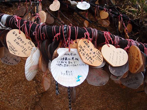 P3108243.JPG P3108243.JPG