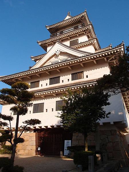 P3118288.JPG P3118288.JPG