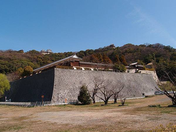 P3118331.JPG P3118331.JPG