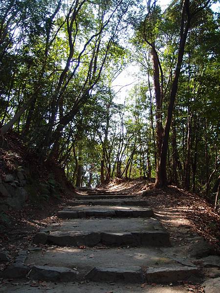 P3118350.JPG P3118350.JPG